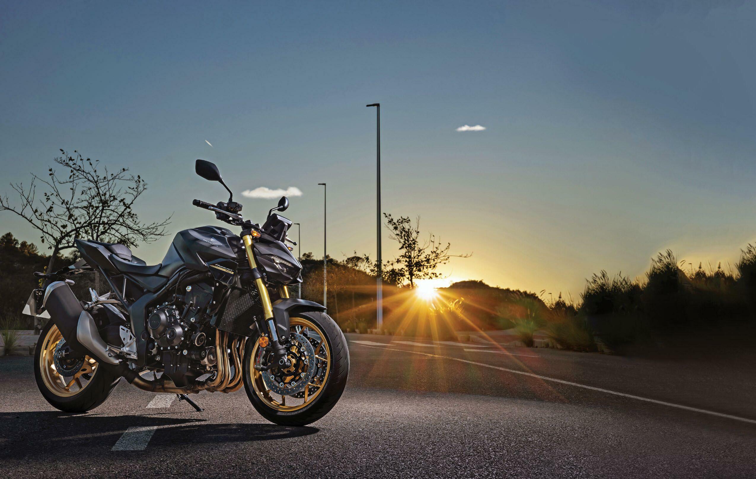 Floats Like a Butterfly, Stings Like a Hornet